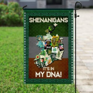 Shenanigans Irish Flag