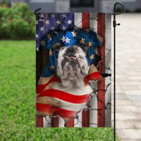 Bulldog American Flag