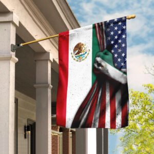Mexican American Flag