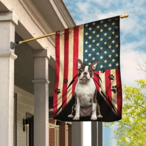 Boston Terrier American Flag