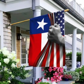 Texas State American Flag