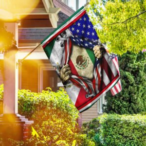 Mexican American Flag