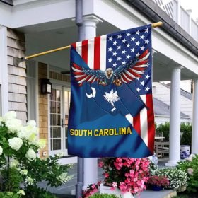 South Carolina And American Flag