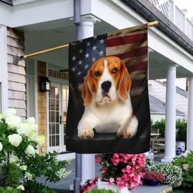 Beagle American Flag