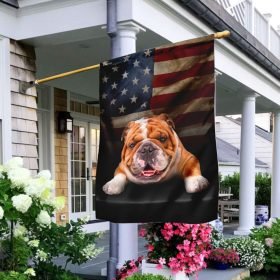 English Bulldog American Flag