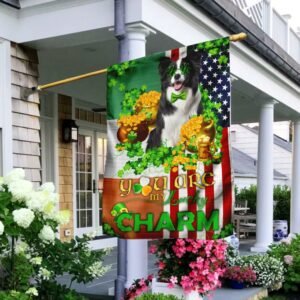Border Collie You Are My Lucky Charm Irish American Flag