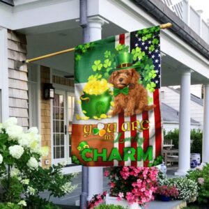 Poodle You Are My Lucky Charm Irish American Flag