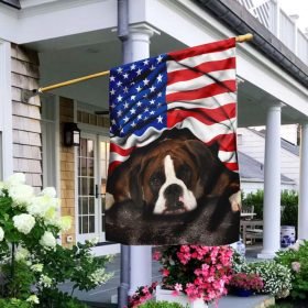 Boxer. American Patriot Flag