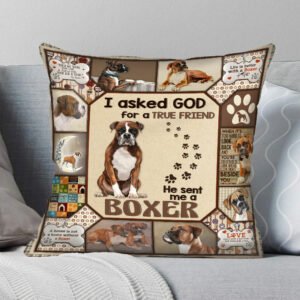 God Sent Me A Boxer Cushion
