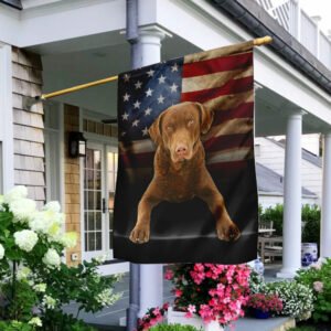 Chesapeake Bay Retriever Dog American Flag