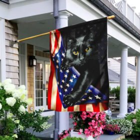 Black Cat American Flag