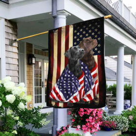 Black And Chocolate Labrador Retriever American Patriot Wrapped in Glory Flag