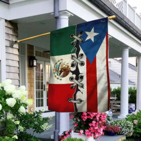 Mexican American Flag THN2179Fv2