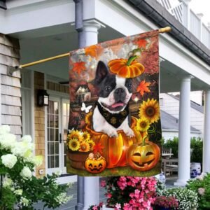 Boston Terrier Pumpkin Happy Fall Y'all Flag DBD2783Fv1