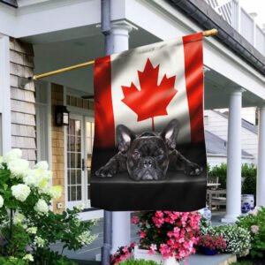French Bulldog Canadian Flag QNN557Fv1