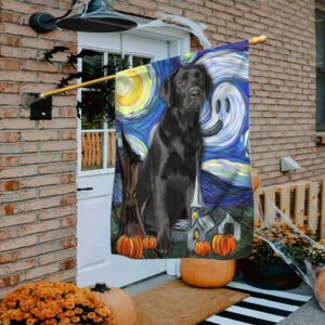 Halloween Flag Black Labrador Retriever Scary Starry Night DDH2794Fv3