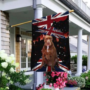 Pitbull Dog Flag UK NTT47Fv4