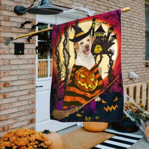 Halloween Flag Yellow Labrador Retriever Witch ANL187F