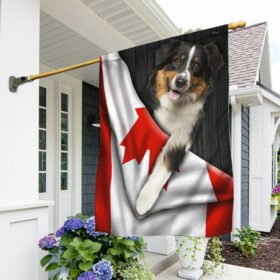 Miniature Australian Shepherd Dog Canada Flag DDH2847Fv4