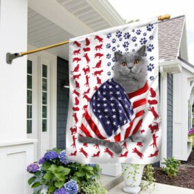 British Shorthair Cat American Flag DDH2611Fv39