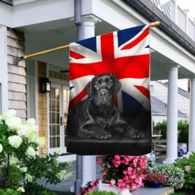 Labrador Retriever UK Flag  QNN437FV7k1