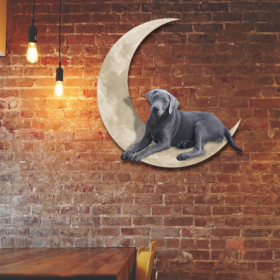Silver Labrador Retriever And Moon Hanging Metal Sign QNK879MSv1c