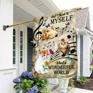 Cat Kitten Flag And I Think To Myself What A Wonderful World DBD2854Fv2