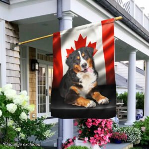 Bernese Mountain Dog Canadian Flag QNN557Fv17