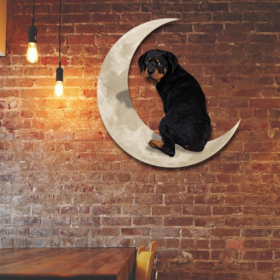 Border Collie Dog And Moon Hanging Metal Sign QNK879MSv11