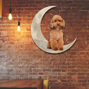Poodle Dog And Moon Hanging Metal Sign QNK879MSv27
