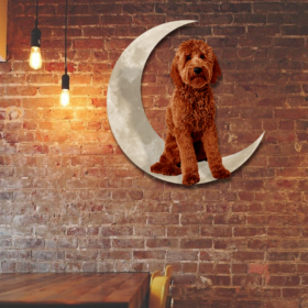 Border Collie Dog And Moon Hanging Metal Sign QNK879MSv11