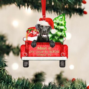 Labrador Retriever Christmas Ornament, Life Would Be Boring Without Me QNN594O