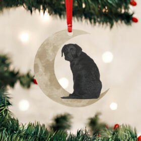 Black Labrador Retriever Ornament, Lab On The Moon Christmas Ornament QNK879Ov1