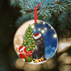 Black Cat Sitting On Moon Christmas Ornament THH3579O