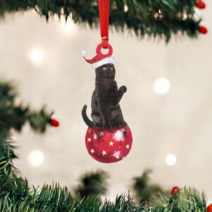 Black Cat Christmas Custom - Shaped Ornament Bing Bong NTB386Ov2