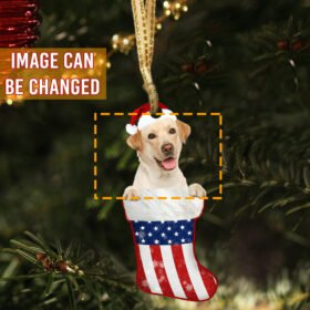 Personalized Ornament Dog Image Little Christmas In Stocking ANT306OCT
