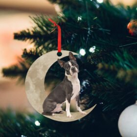 Boston Terrier Dog Christmas ornament, Boston Terrier  On The Moon QNK879Ov16
