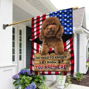 Poodle Flag No Need To Knock I Know You Are Here DBD3127F