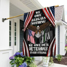 Veteran US Flag We Own Illegals Nothing We Owe Our Veterans Everything DDH3085Fv4