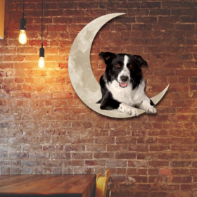 Border Collie On The Moon Hanging Metal sign QNK1012MSv3