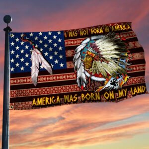 Native American Grommet Flag, I Was Not Born In America,  America Was Born On My Land QNN696GF