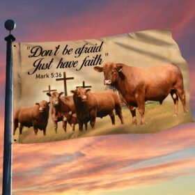 Red Angus Grommet Flag Don't Be Afraid Just Have Faith DDH3091GFv3