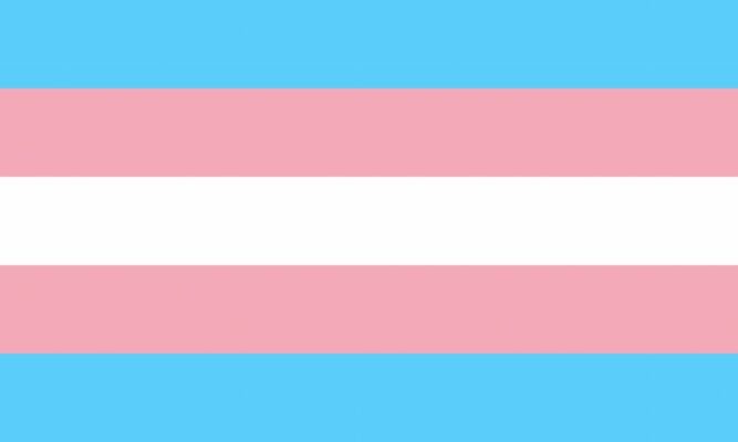 transgender flag