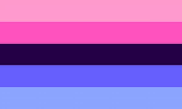 Omnisexual Flag
