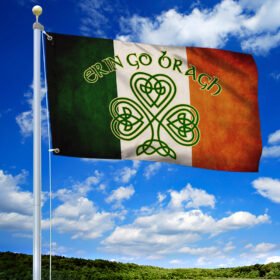 Irish Grommet Flag Erin go bragh BNT429GF