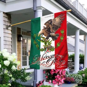 Mexico Flag Mexican Pride LNT286F