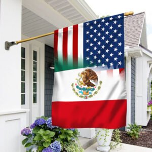 Mexican And American Flag BNN277F