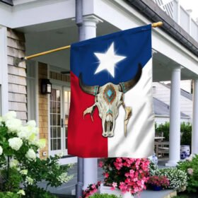Texas Flag Skull LNT278F