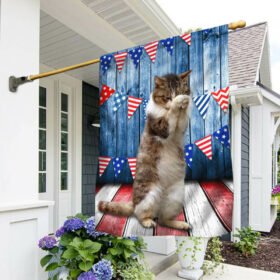 America Cat Flag Praying LNT213F