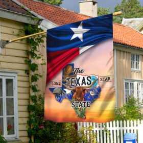 Texas Flag The Lone Star State BNN600Fv1